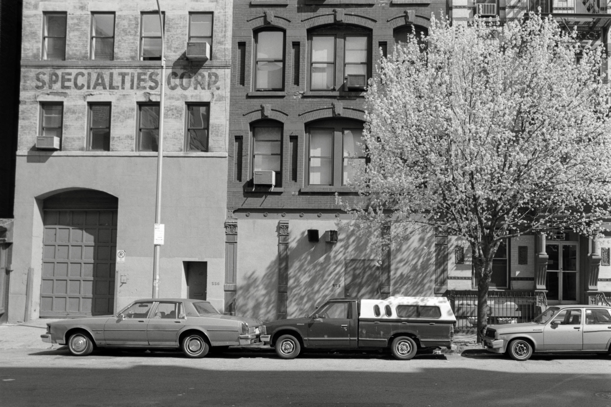 AHP F1995 04 005 sc240817 img17 NLP